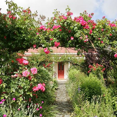 Ferryman'S Cottage Wanaka Exterior photo